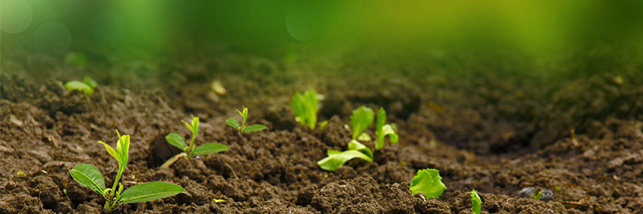 固體廢物、土壤和沉積物